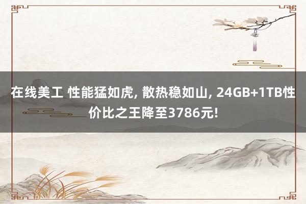 在线美工 性能猛如虎, 散热稳如山, 24GB+1TB性价比之王降至3786元!