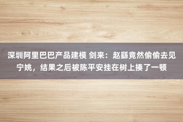 深圳阿里巴巴产品建模 剑来：赵繇竟然偷偷去见宁姚，结果之后被陈平安挂在树上揍了一顿